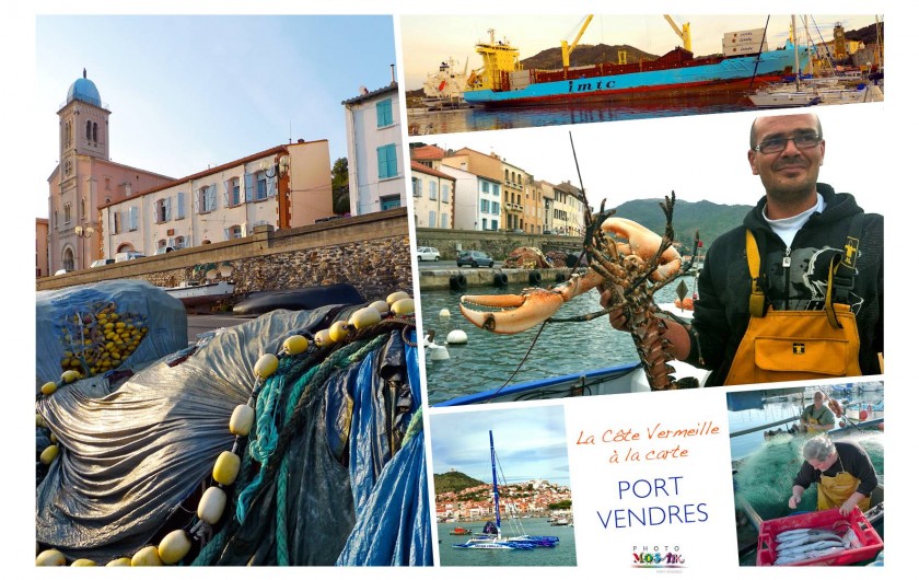 Location de vacances - Appartement à Port-Vendres - Port-Vendres
