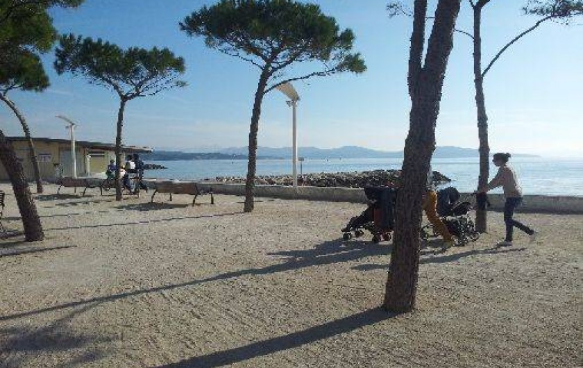 Location de vacances - Appartement à La Ciotat