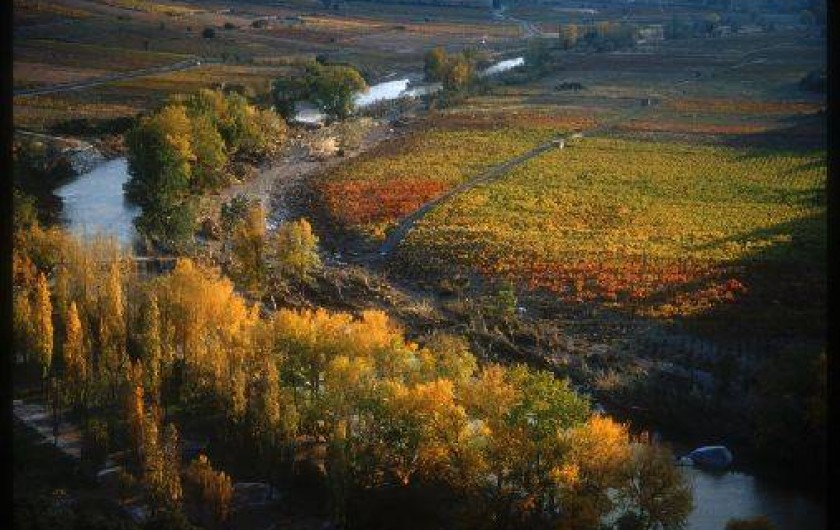 Location de vacances - Chambre d'hôtes à Tautavel - Environnement