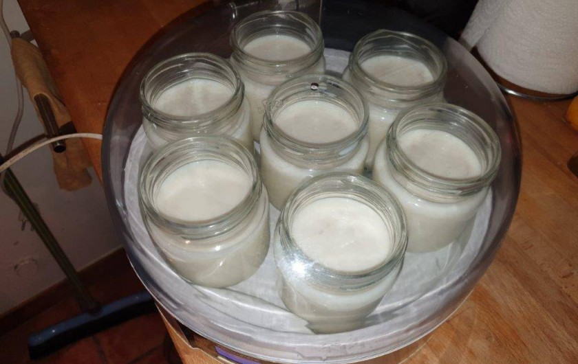 Location de vacances - Chambre d'hôtes à Tautavel - Petit déjeuner "maison"