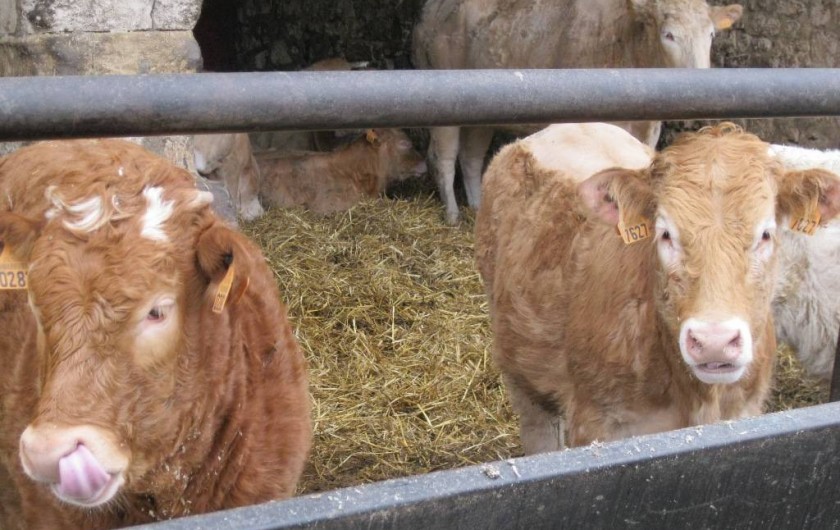 Location de vacances - Chambre d'hôtes à Vauxaillon