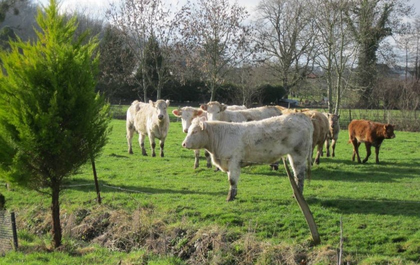 Location de vacances - Chambre d'hôtes à Vauxaillon