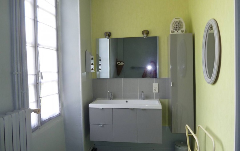 Location de vacances - Gîte à Druyes-les-Belles-Fontaines - salle de douche/WC