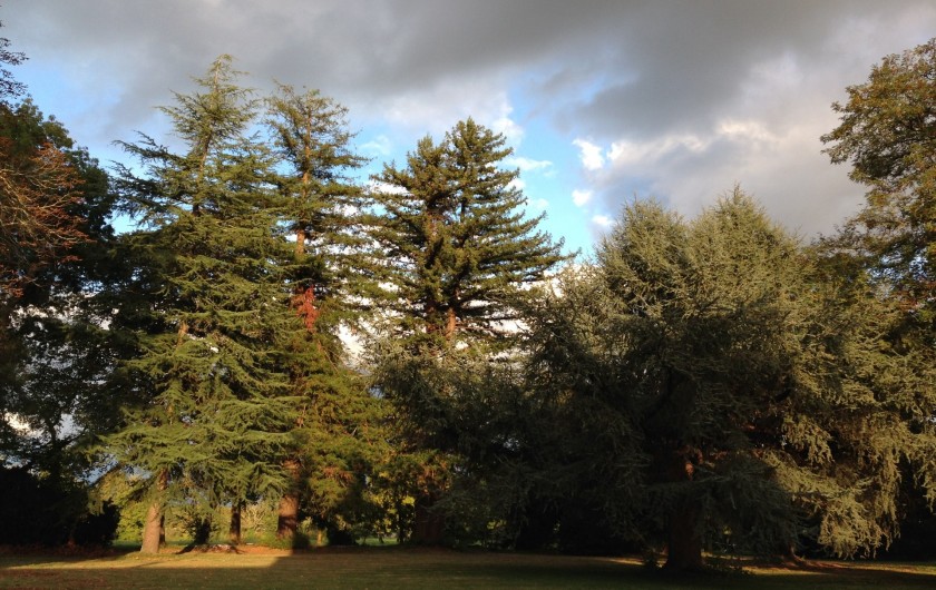 Location de vacances - Appartement à Bergerac