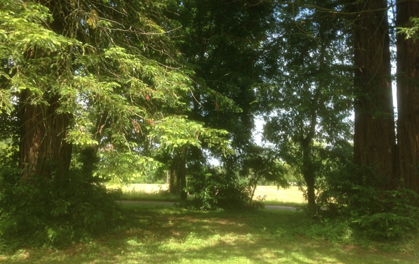 Location de vacances - Appartement à Bergerac