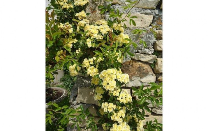 Location de vacances - Maison - Villa à Lablachère