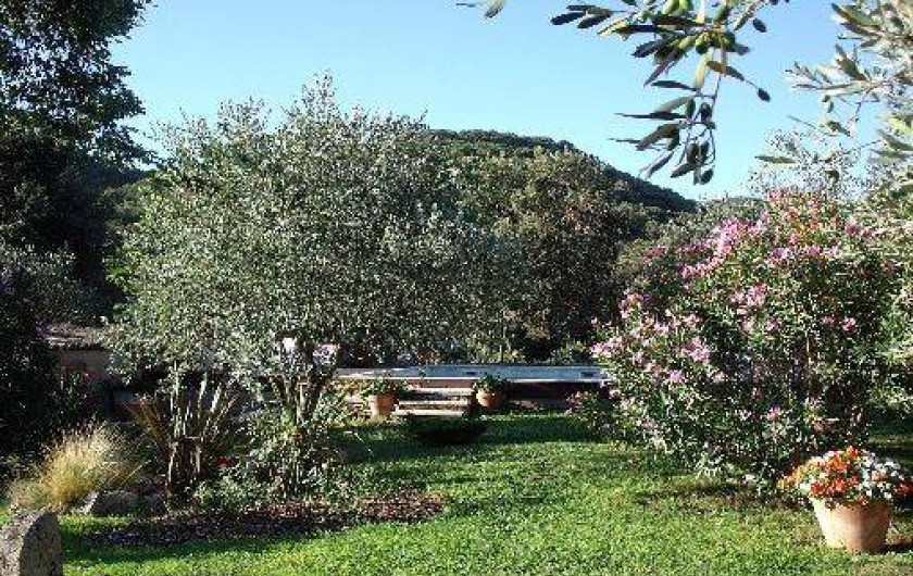 Location de vacances - Maison - Villa à Collias