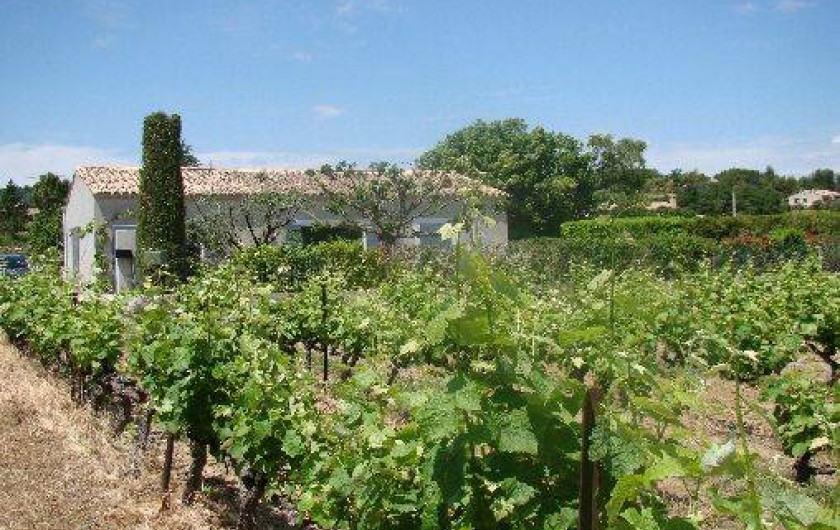 Location de vacances - Villa à Vaison-la-Romaine