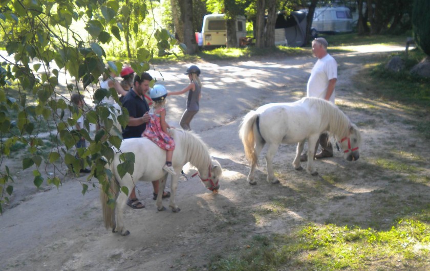 Location de vacances - Bungalow - Mobilhome à Villefranche-de-Rouergue - balade à poney gratuite pour les enfants