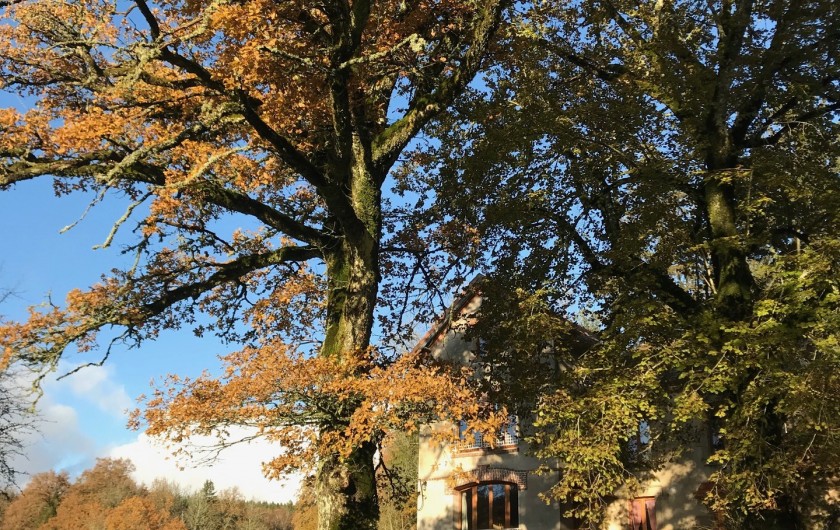 Location de vacances - Gîte à La Nouaille