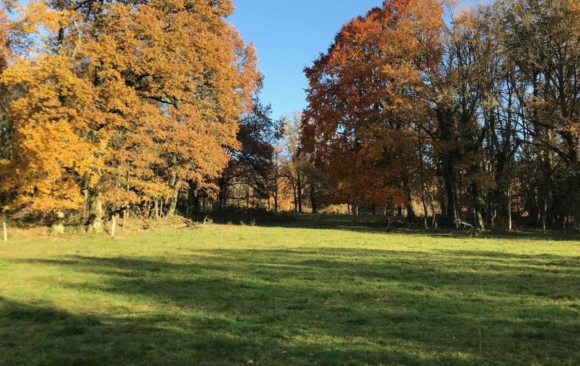 Location de vacances - Gîte à La Nouaille