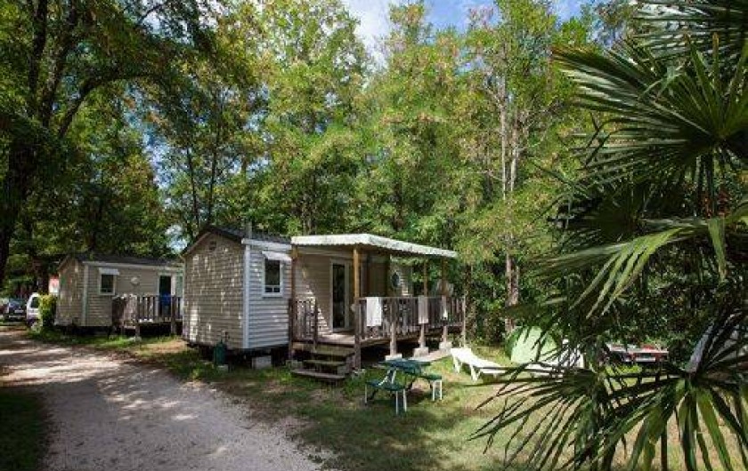 Location de vacances - Camping à Ruoms