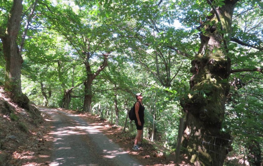 Location de vacances - Camping à Saint-Pierreville