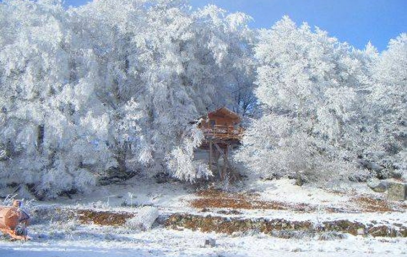 Location de vacances - Cabane dans les arbres à Paulhac-en-Margeride - L'hiver