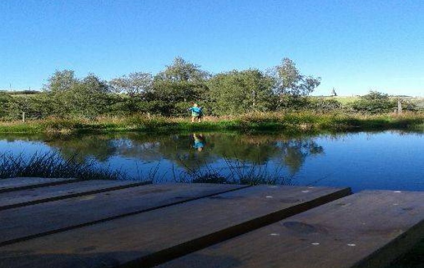 Location de vacances - Cabane dans les arbres à Paulhac-en-Margeride - Lieu de reproduction de batraciens et autres espèces. lieu préservé.