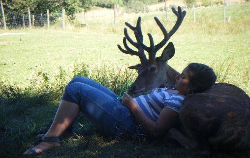 Location de vacances - Cabane dans les arbres à Paulhac-en-Margeride - Kiki la mascotte du parc