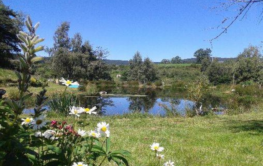 Location de vacances - Cabane dans les arbres à Paulhac-en-Margeride - Étang de pèche 