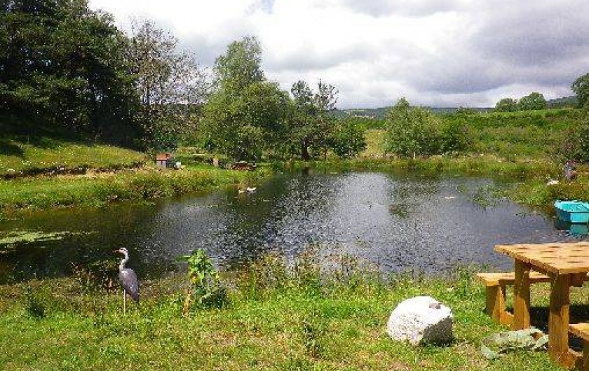 Location de vacances - Cabane dans les arbres à Paulhac-en-Margeride - Truites, grenouilles, tritons, et libellules cohabitent.