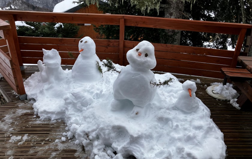 Location de vacances - Chalet à Ustou