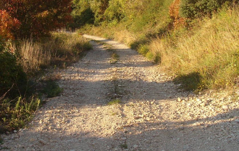 Location de vacances - Mas à Saint-Privat - Le petit chemin à