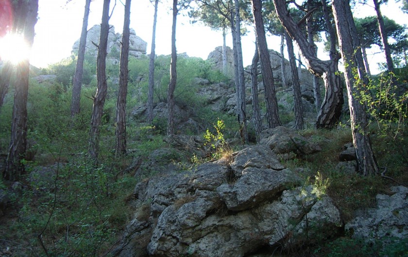 Location de vacances - Mas à Saint-Privat