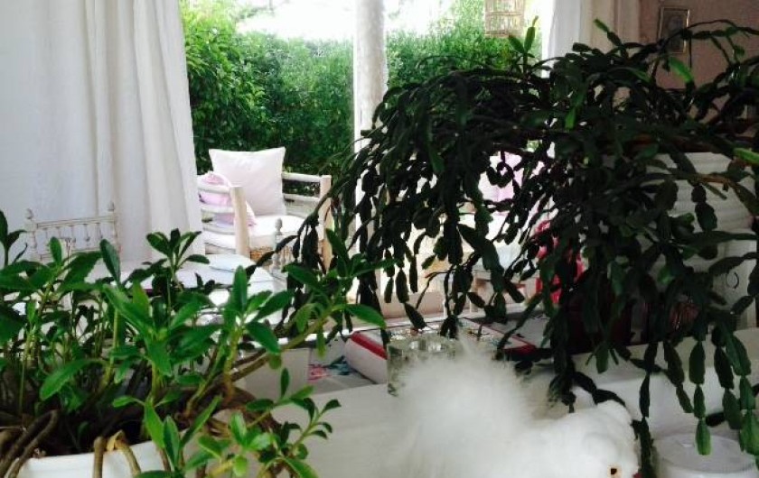 Location de vacances - Villa à L'Isle-sur-la-Sorgue