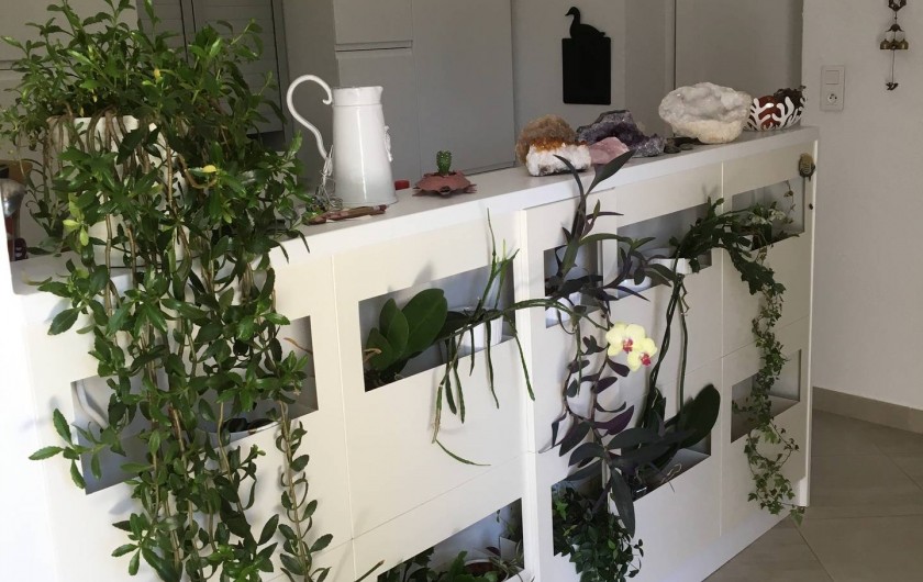 Location de vacances - Villa à L'Isle-sur-la-Sorgue