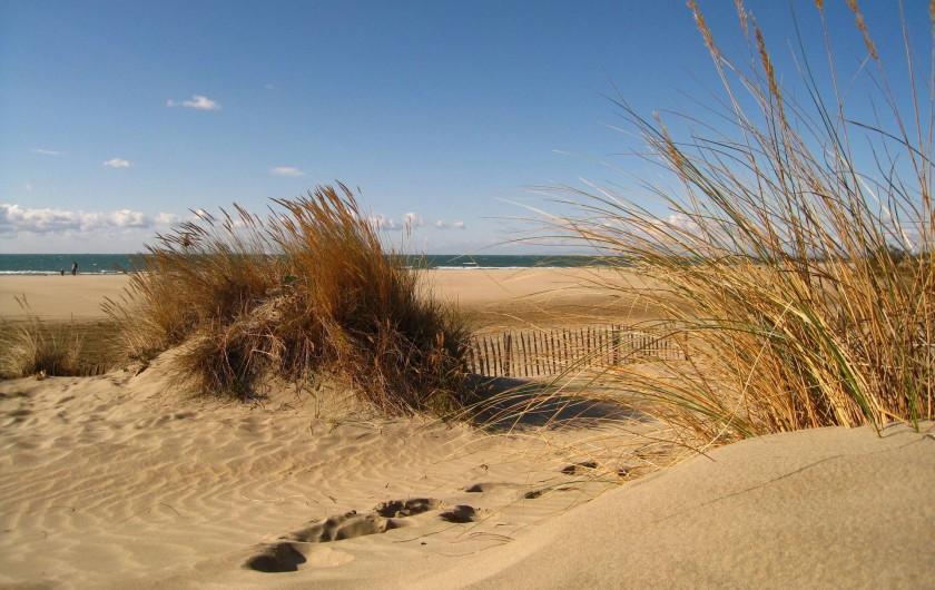Location de vacances - Studio à Le Cap d'Agde