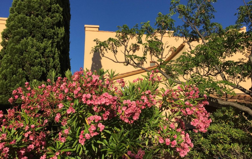 Location de vacances - Appartement à Port Leucate