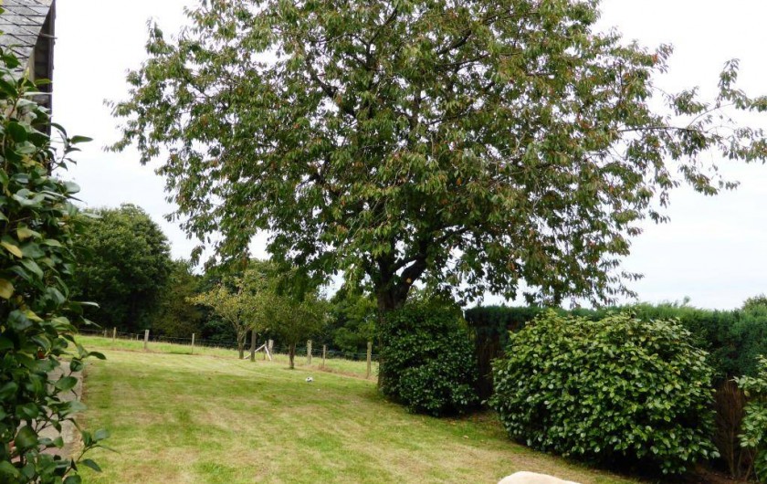 Location de vacances - Gîte à Louvigné-du-Désert - Jardin Arboré
