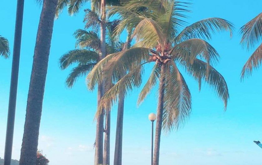 Location de vacances - Appartement à La Trinité