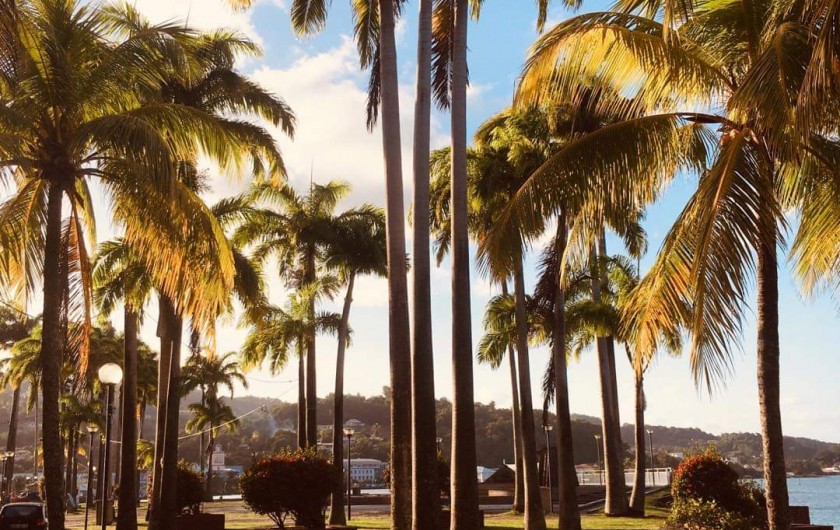 Location de vacances - Appartement à La Trinité