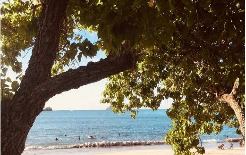 Location de vacances - Appartement à La Trinité