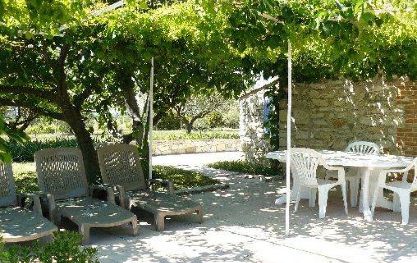 Location de vacances - Gîte à Saint-Jean-de-Serres - Pergola dans l'ombre du figuier et de la vigne vierge
