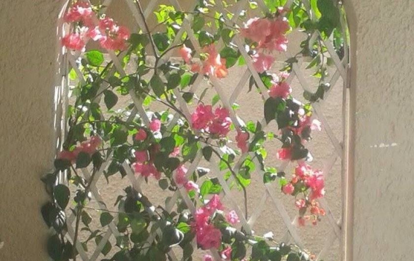 Location de vacances - Maison - Villa à Grand Baie