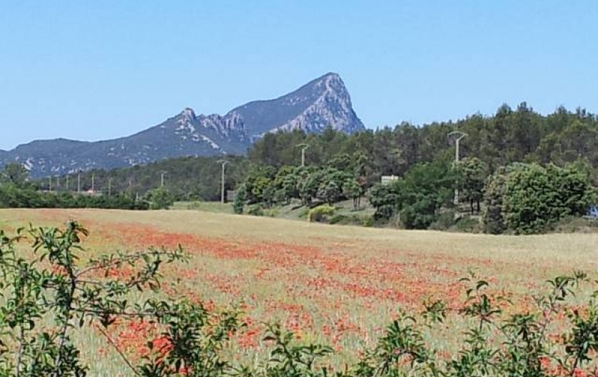 Location de vacances - Chambre d'hôtes à Vacquières - Le Pic Saint Loup