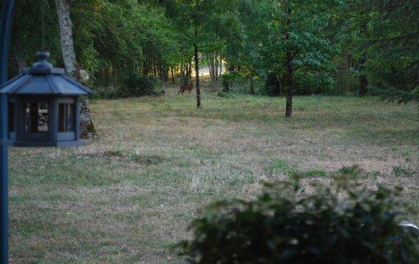 Location de vacances - Gîte à Cosne-Cours-sur-Loire