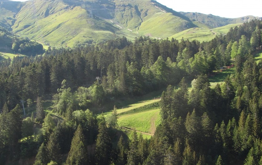 Location de vacances - Appartement à Super Lioran - Vue du balcon l'été