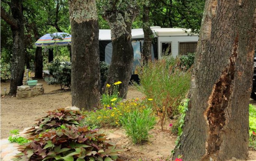 Location de vacances - Camping à Maureillas-Las-Illas