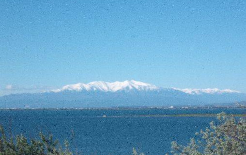 Location de vacances - Appartement à Port Leucate