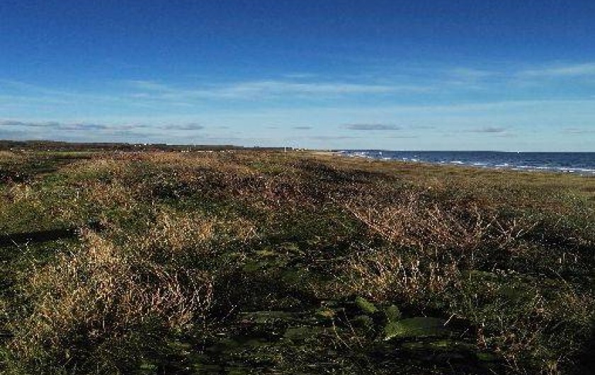 Location de vacances - Studio à Courseulles-sur-Mer