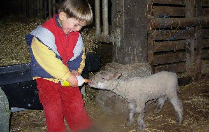 Location de vacances - Gîte à Plouvorn