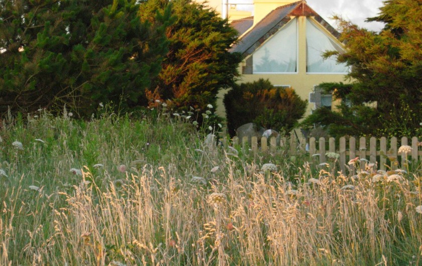 Location de vacances - Villa à Portsall - La maison est posée sur la dune, à 40m des plages, face à la mer