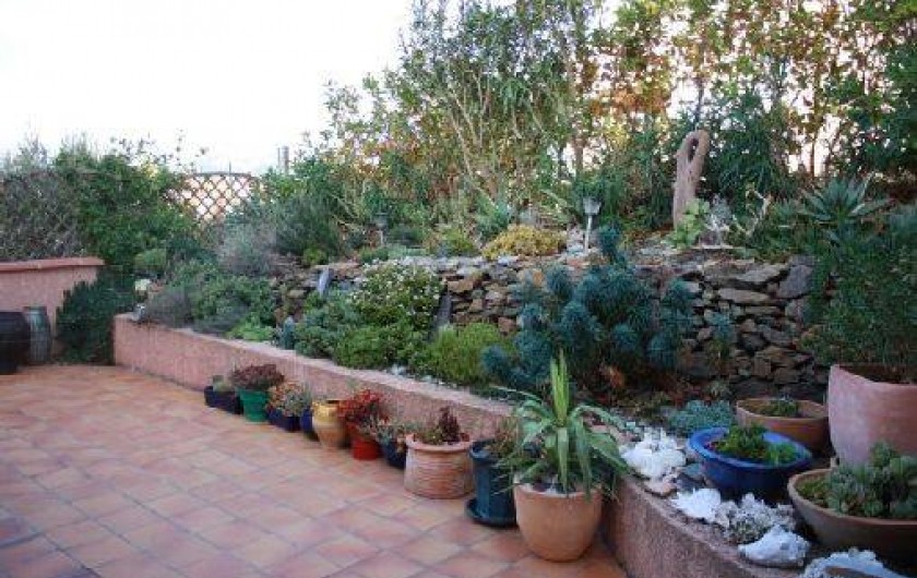 Location de vacances - Maison - Villa à Banyuls-sur-Mer