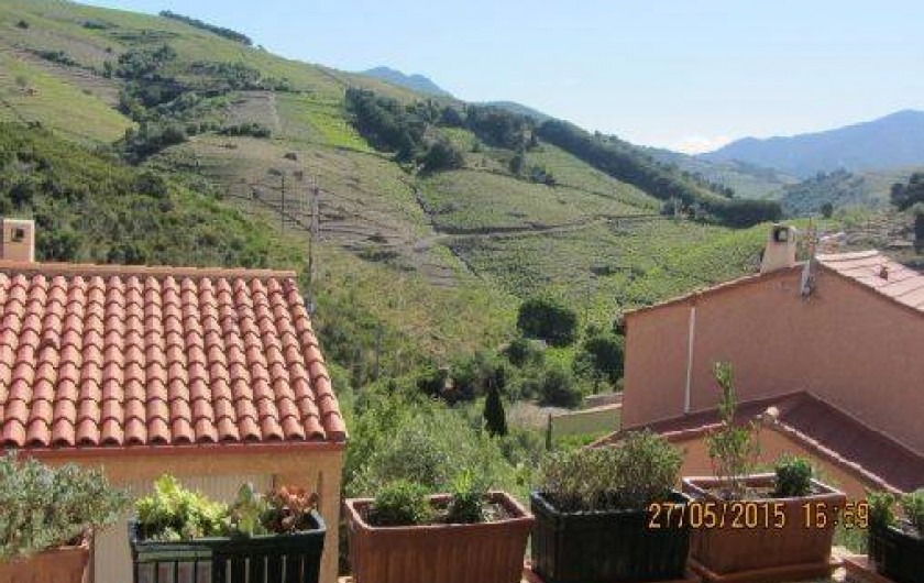 Location de vacances - Maison - Villa à Banyuls-sur-Mer
