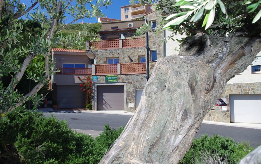 Location de vacances - Gîte à Cerbère - Résidence 3 appartements classés Gîte de France 3 épis