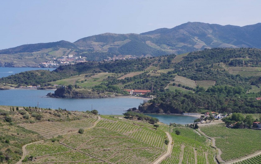 Location de vacances - Gîte à Cerbère - Plaisir de la mer et de la montagne
