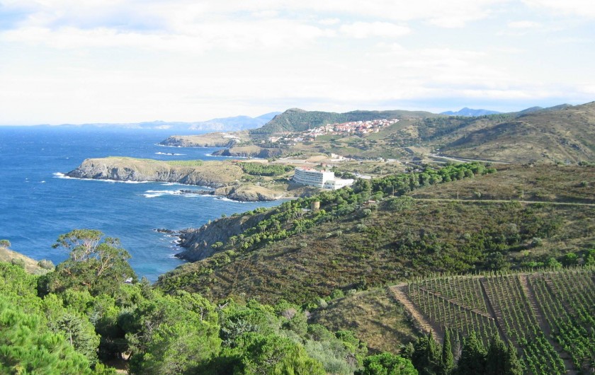 Location de vacances - Gîte à Cerbère - Dernier village français CERBERE après viva ESPANA