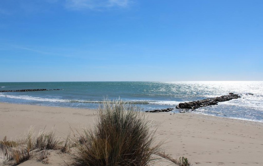 Location de vacances - Gîte à Arles - Les plages sauvages de Camargue