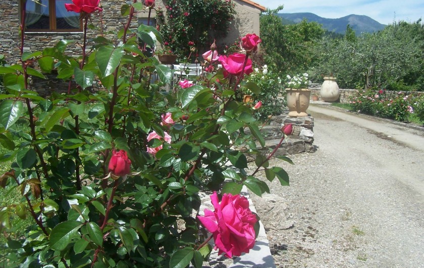 Location de vacances - Maison - Villa à Bréau-et-Salagosse